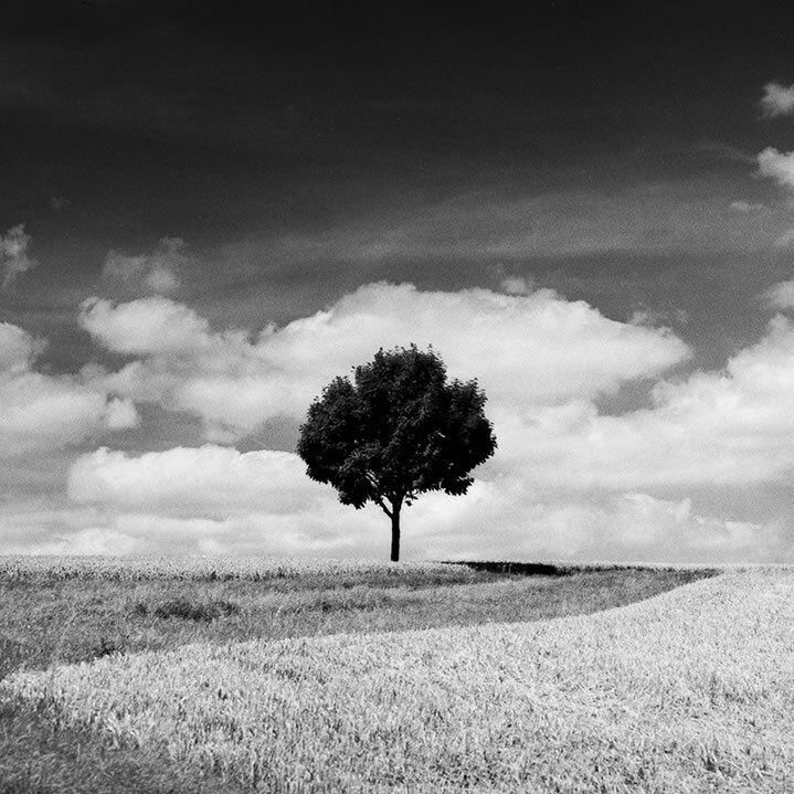 Rollei Infrared Black and White 35mm 36 Exposure Film