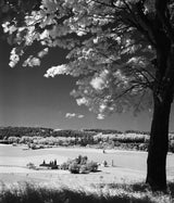 Rollei Infrared Black and White 35mm 36 Exposure Film